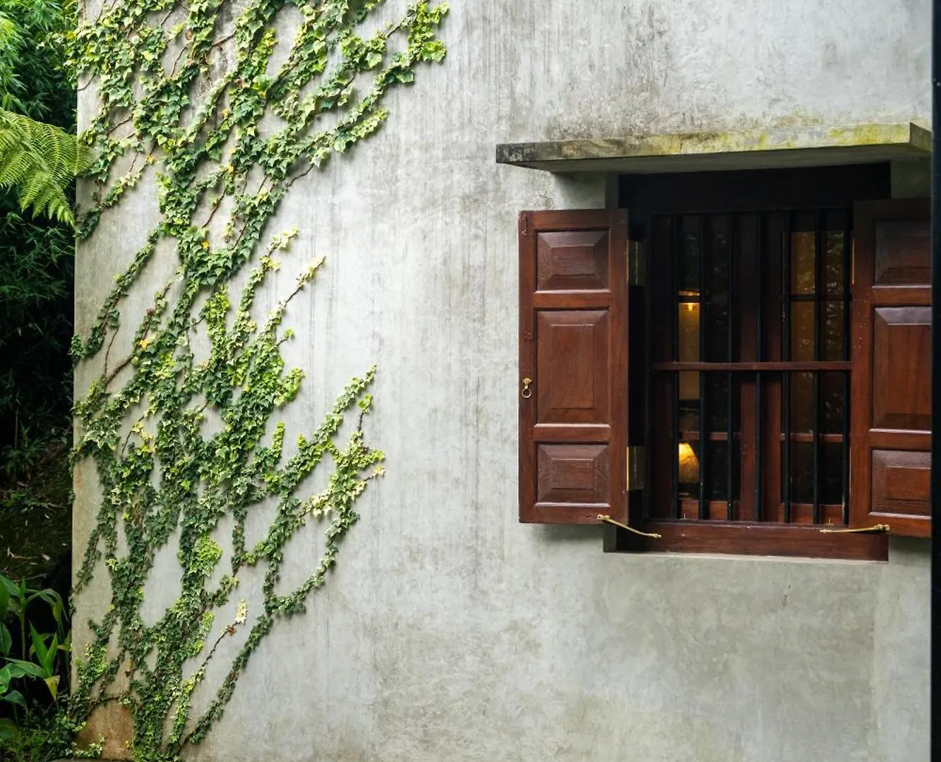Tathya Hills Nuwaraeliya Bed & Breakfast Nuwara Eliya